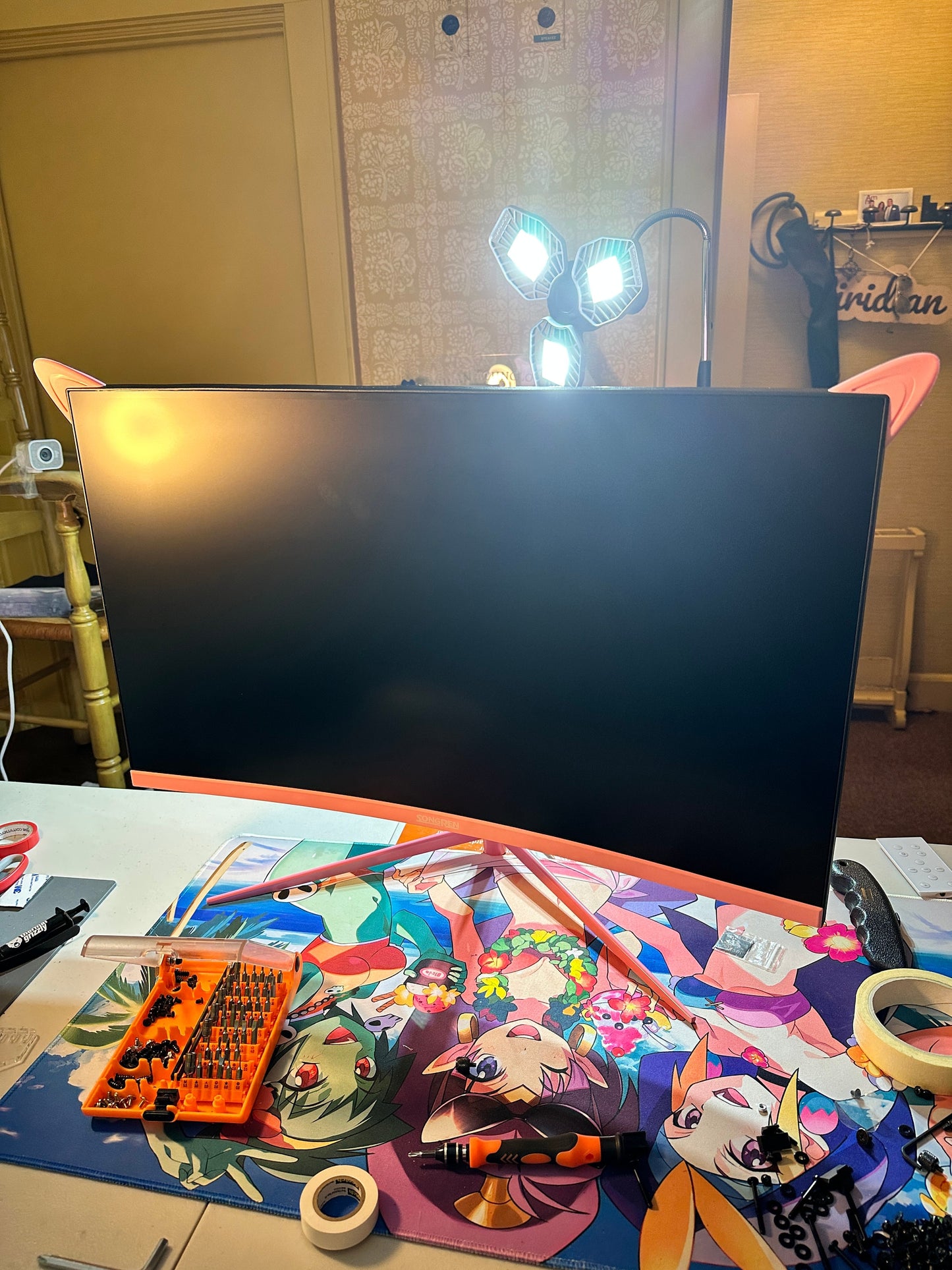 Pre Order Pink Computer Monitor With Cat Ears